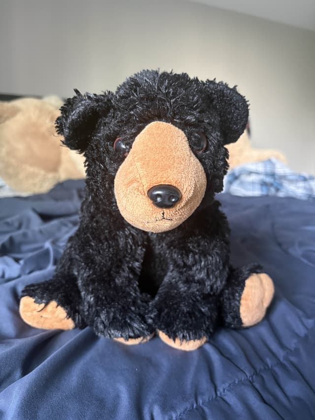 Jimbo the bear